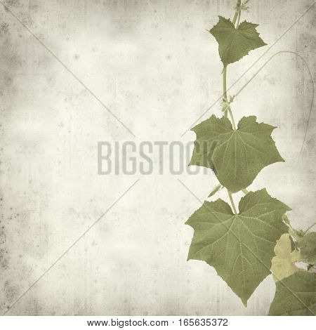 Textured Old Paper Background