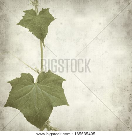 Textured Old Paper Background