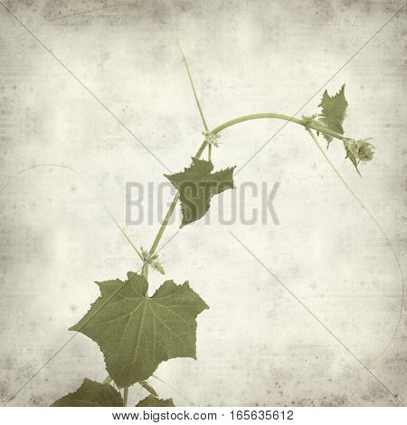 Textured Old Paper Background