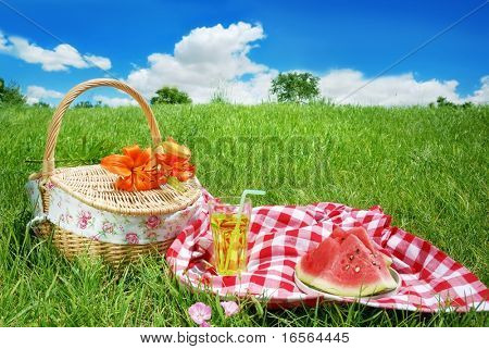 Picnic on Meadow at Sunny Day