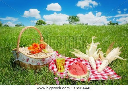 Picnic on Meadow at Sunny Day