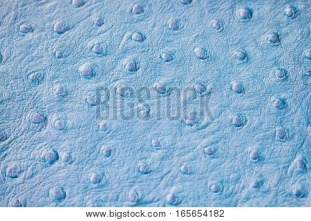 Texture of genuine Ostrich Stamped leather close-up, fashion, exotic background