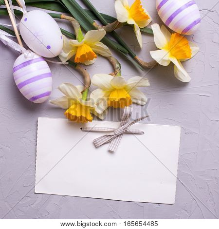 Easter background. Decorative violet eggs and yellow daffodils or narcissus flowers and empty tag on grey textured background. Selective focus. Place for text. Square image.