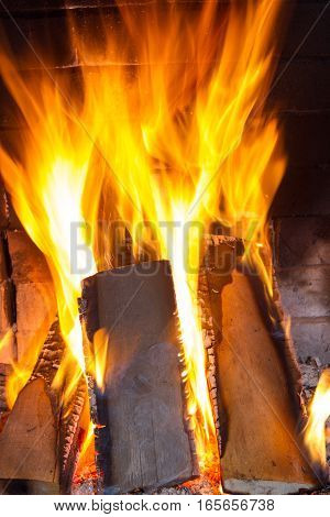 Burning firewood in the fireplace close up. Foto