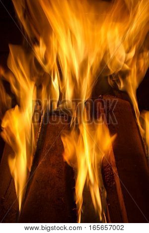 Burning firewood in the fireplace close up. Foto