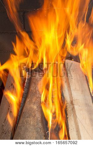 Burning firewood in the fireplace close up. Foto