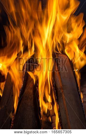 Burning firewood in the fireplace close up. Foto