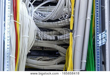 Large group of lilac utp Internet cables in the Data Center