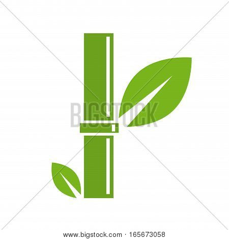 Vector sign abstract green bambou, isolated illustration