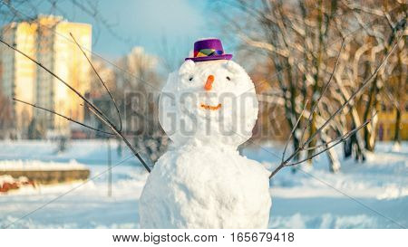 Snowman with purple hat in city park