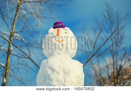 Snowman with purple hat against blue sky