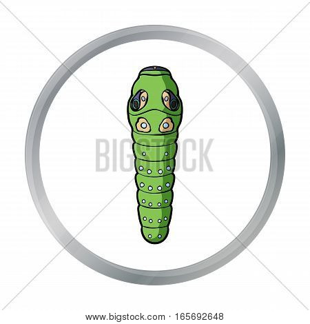 Caterpillar icon in cartoon design isolated on white background. Insects symbol stock vector illustration.
