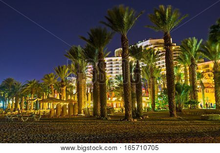The City Behind The Palms