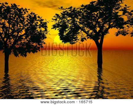 Puesta de sol