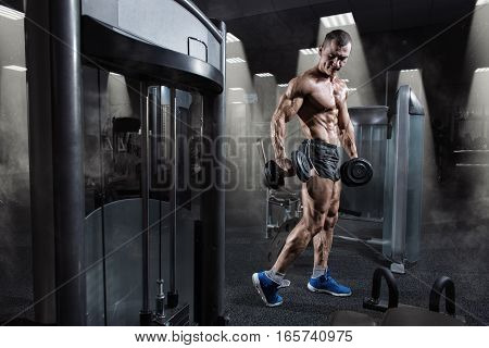 Handsome power athletic bodybuilder in training pumping up muscles with dumbbell in gym. Strong bodybuilder with perfect abs, shoulders, biceps, triceps and chest