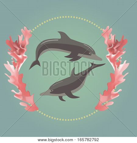 Two dolphins in the ring with the seaweeds