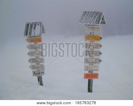Picture of two frozen guideposts standing in deep snow