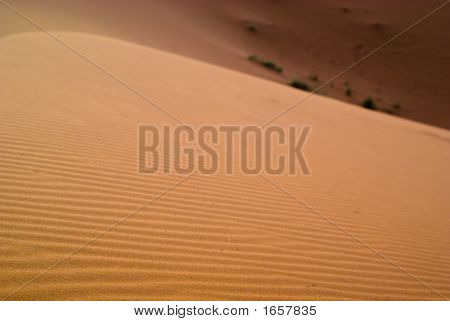 Duny Erg Chebbi 