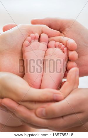 baby feet in the hands of parents, pink
