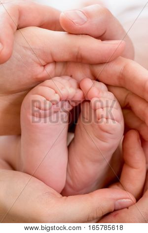 pink baby feet in the hands of parents
