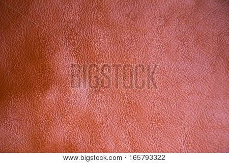Background Of Genuine Cow Leather