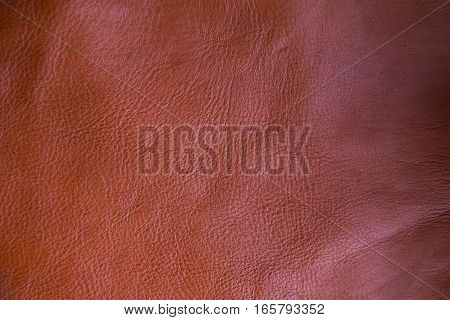 Background Of Genuine Cow Leather