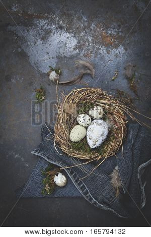 Oster Dekoration Mit Nest Und Ei Auf Dunklem Hintergrund