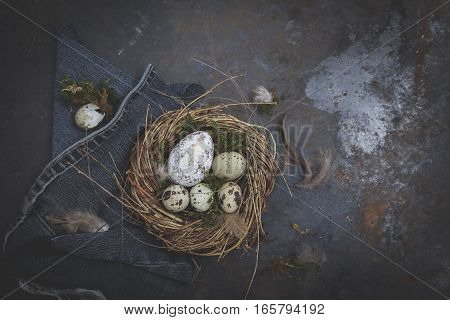 Oster Dekoration Mit Nest Und Ei Auf Dunklem Hintergrund