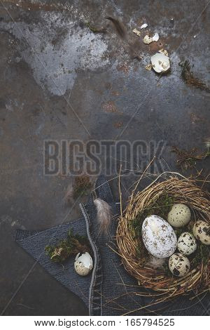 Oster Dekoration Mit Nest Und Ei Auf Dunklem Hintergrund