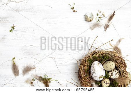 Oster Dekoration Mit Nest Und Ei Auf Weißem Holz Hintergrund