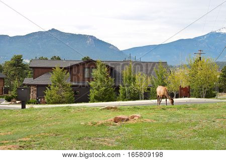 Estes Park in Colorado in North America
