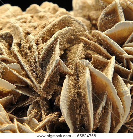 desert rose or gypsum, a rosette formation of gypsum and barite with sand inclusions