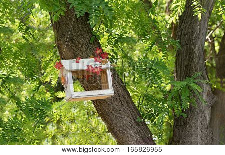 Feeder for birds and squirrels in the Botanical garden