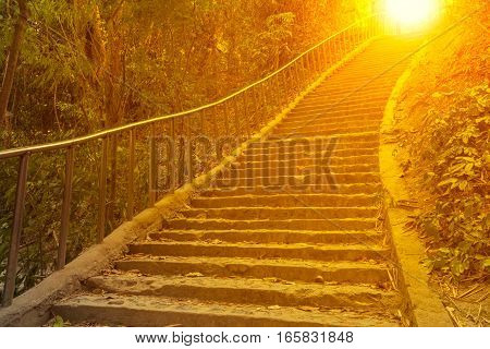Concrete stair in the forest with sunlight