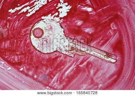 Detail of the key fingerprint - abstract