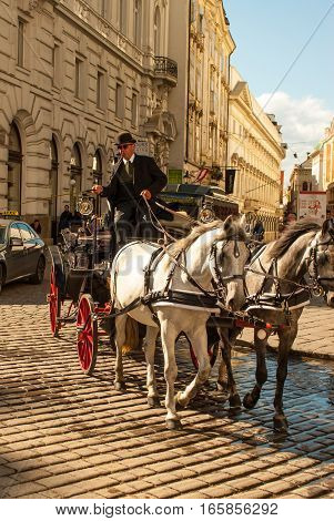 Horsecarriage and very blue sky with cloud in vienna, austria 2015