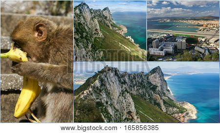 Collage of monkey of Gibraltar and view on the city.