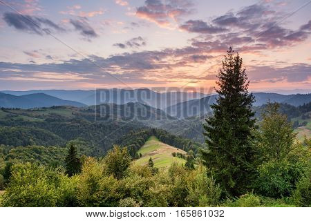 Mountain landscape at sunset. Carpathian Mountains Mizhhiria Ukraine.