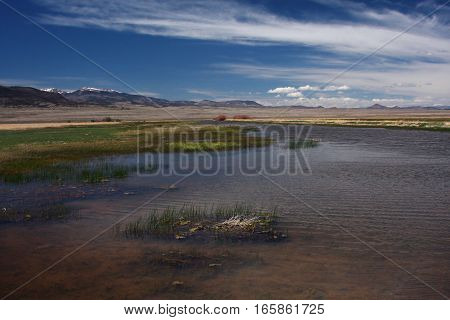 A beautiful spring day at the Alamosa Wetlands in southern Colorado in the San Luis Valley.