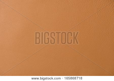 Light Brown Leather Swatch Section