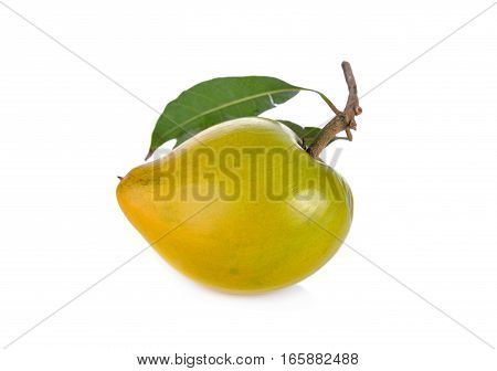 ripe Tiesa or egg fruit with stem and leaves on white background