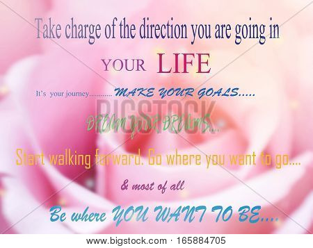 Inspirational quote by unknown source on vintage background sweet dreamy and de-focused of pink roses with flare light valentine day concept