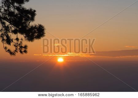 Sunrise In The Morning,