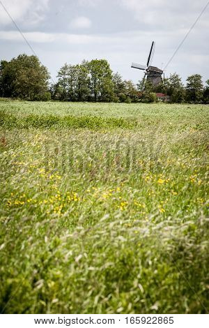 A traditional scene in rural Holland with a windmill framed by flat grassland.
