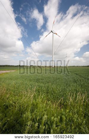 A rural view of the Dutch flat landscape dotted with wind turbines.