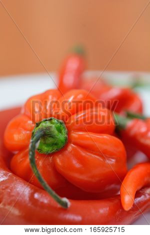 Chili Peppers