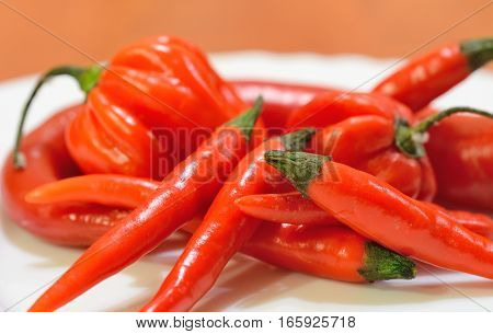 Chili Peppers