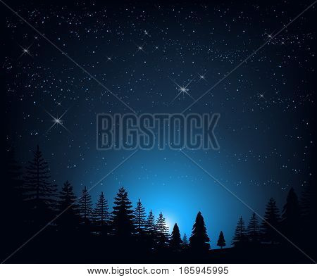 Stock vector illustration of night landscape with starry sky on a background of silhouettes of trees