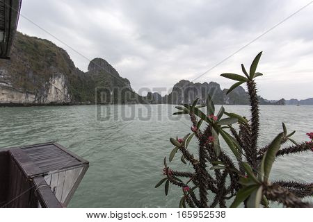 sea landscape from boat. Ha Long Bay Vietnam