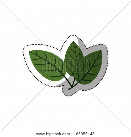 sticker green leaves with ramifications vector illustration